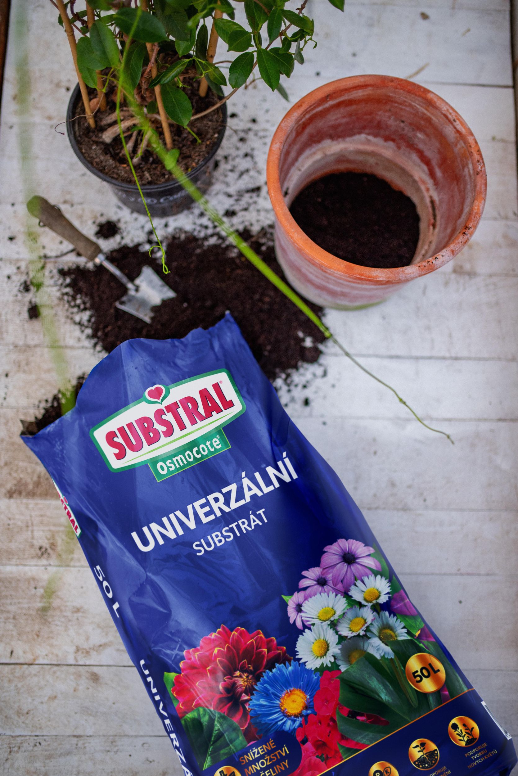 Substral Substrát s hnojivem Osmocote univerzální 50l-0