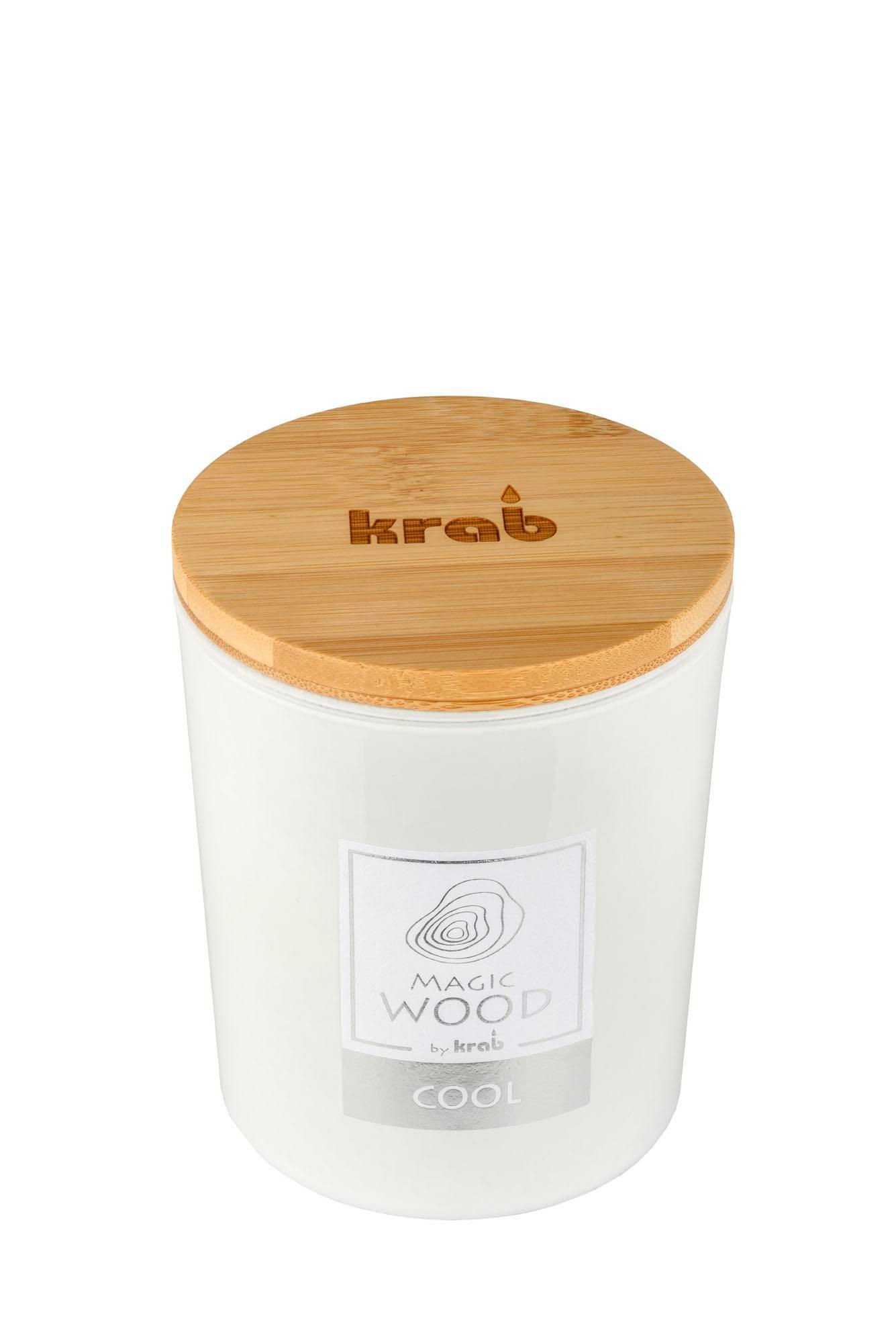 Domácnost a Zahrada - Svíčka magic wood 300g, cool