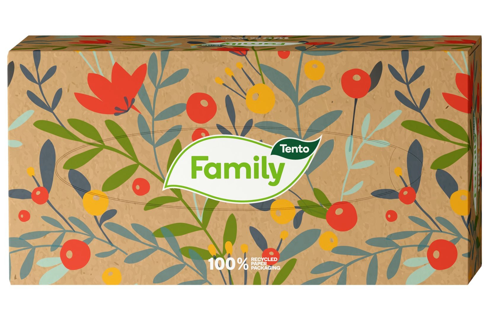Drogerie a kosmetika - Tento kapesníky Family 2vrstvé 200 ks