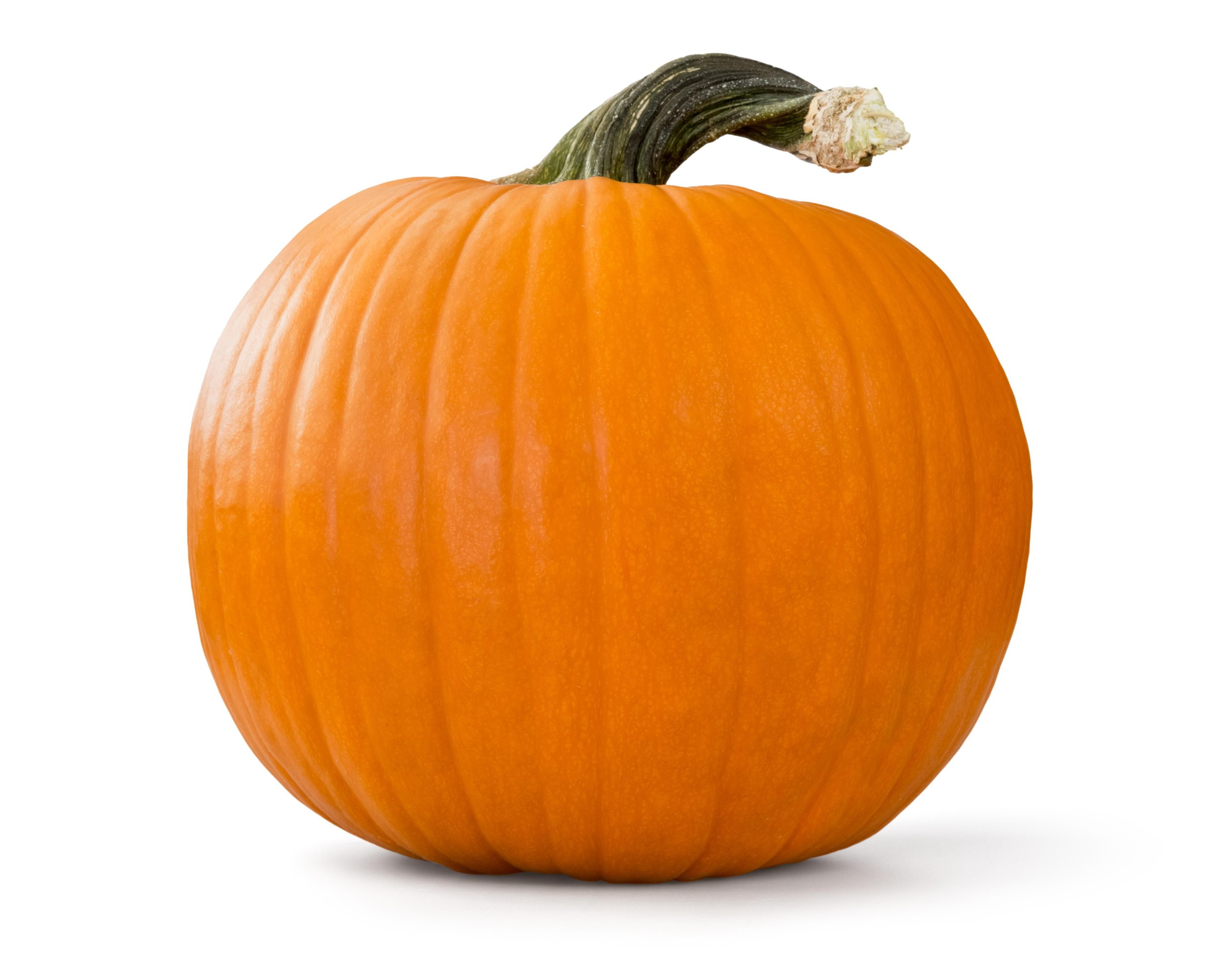 Domácnost a Zahrada - Tykev (dýně) Halloween - cca 3000 g