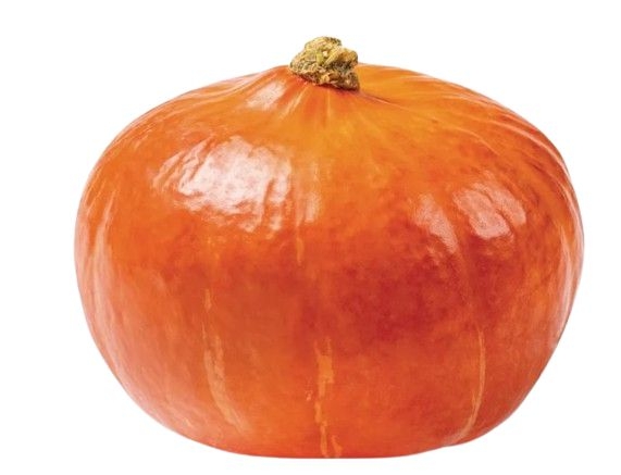 Domácnost a Zahrada - Tykev (dýně) Hokkaido - cca 1300 g