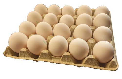 Vejce L20 podestýlka-0