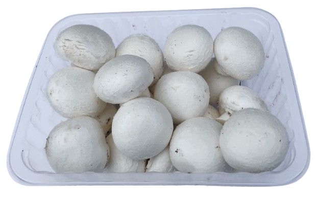 Ovoce a zelenina - Žampiony bílé balené 500 g